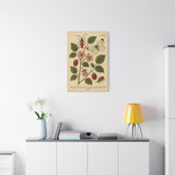 Wild Bramble with Beetle and Butterfly, Botanical Illustration on Canvas