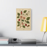 Wild Bramble with Beetle and Butterfly, Botanical Illustration on Canvas