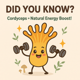 Cartoon illustration of a mushroom character lifting weights with text about Cordyceps as a natural energy boost.