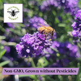 Bee on a lavender flower with 'Pollinator Friendly' logo and text about non-GMO and pesticide-free farming.