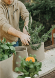 Grassroots Living Soil Fabric Pots