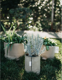 Grassroots Living Soil Fabric Pots