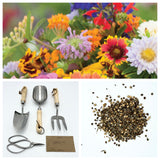 Collage of flowers, gardening tools, and seeds on a white background