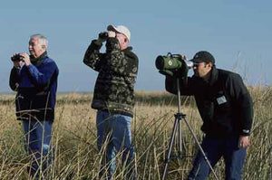 What are you doing this holiday season? You could be bird-watching!