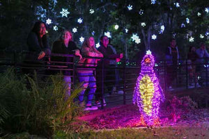 Winter WonderLights returns to UGA’s State Botanical Garden in November