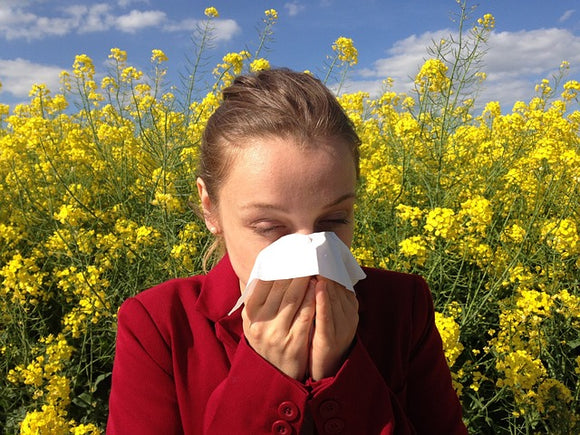Pollen allergy image by Corina from Pixabay