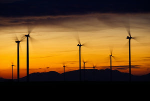 Studies Show Wind Farms Raise Temperatures, And Impact Could Become Significant As More Are Built
