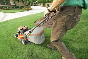 Are Americans Obsessed With Their Lawns?