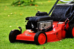 What not mowing in May could mean for your lawn