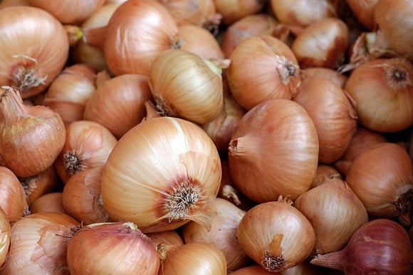 Onion image by Couleur from Pixabay 