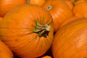 How Long Will Pumpkins Last After You Harvest Them From The Garden?