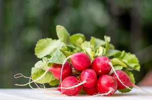 Gardener shares common misconception about many of the edible plants in your garden.