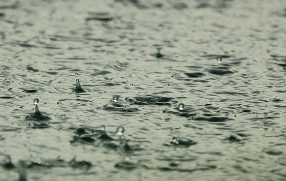 Rain Image by Roman Grac from Pixabay 