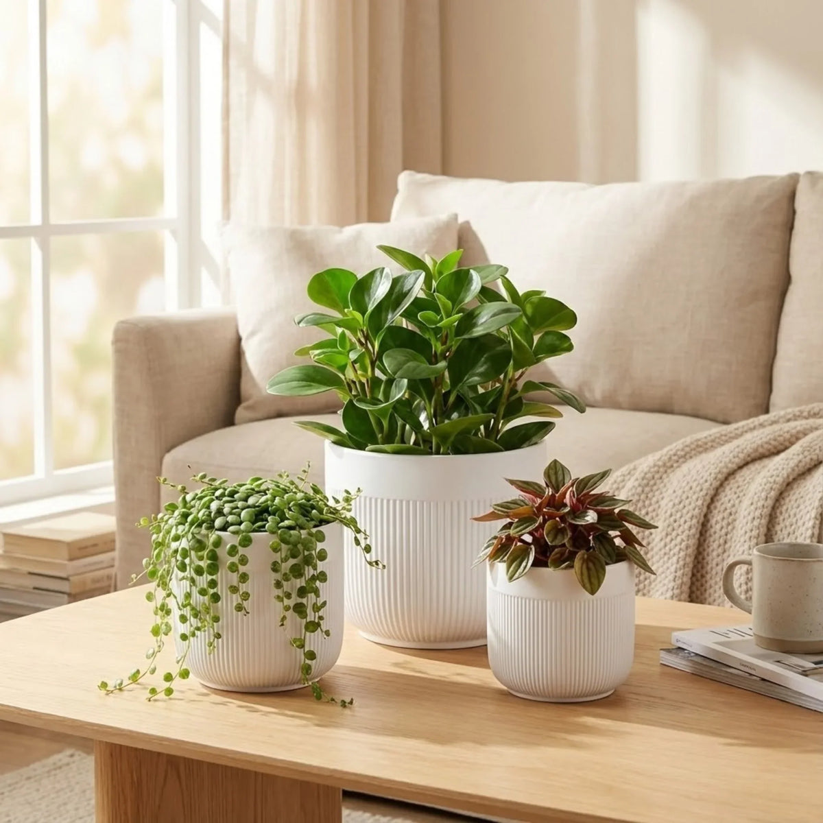 Decorative Planters and Containers