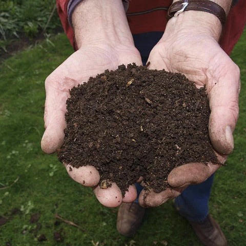 Composting and Organic Waste Solutions