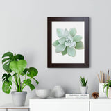 Pachyveria Haagei Succulent Framed Print – Botanical Wall Art
