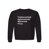 Tradescantia, Aglaonema, Maranta & Ficus Plant Lover Sweatshirt – Organic Cotton Raglan