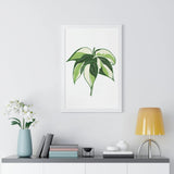 Philodendron Cream Splash Framed Print – Botanical Wall Art