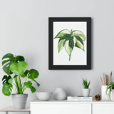 Philodendron Cream Splash Framed Print – Botanical Wall Art