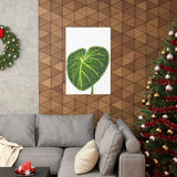 Philodendron Gloriosum Botanical Print – Unframed Wall Art