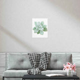 Pachyveria Haagei Succulent Botanical Print – Unframed Wall Art