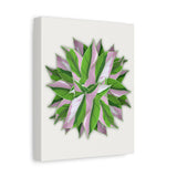 Syngonium Tricolor Pattern Canvas Print – Botanical Wall Art