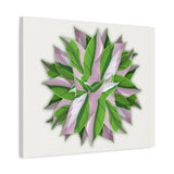 Syngonium Tricolor Pattern Canvas Print – Botanical Wall Art