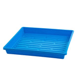 Blue plastic tray with drainage holes on a white background 1010 Shallow Seed Trays