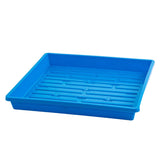 Blue plastic tray with drainage holes on a white background