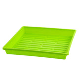Green plastic tray with drainage holes on a white background 1010 Shallow Seed Trays