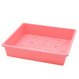 Pink plastic tray with drainage holes on a white background 1010 Trays 2.5" Deep - Extra Strength