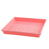 Pink plastic tray with drainage holes on a white background