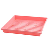 Pink plastic tray with drainage holes on a white background