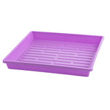 Purple plastic tray with drainage holes on a white background 1010 Shallow Seed Trays