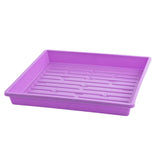 Purple plastic tray with drainage holes on a white background 1010 Shallow Seed Trays