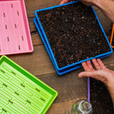 Colorful seedling trays on a wooden surface with hands interacting with one tray.