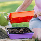 Person holding an orange seedling tray over a purple seedling tray filled with soil outdoors. 1010 Trays 2.5" Deep - Extra Strength