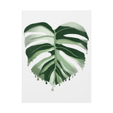 Melting Monstera Albo Canvas Print – Botanical Wall Art