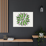 Syngonium Tricolor Pattern Canvas Print – Botanical Wall Art