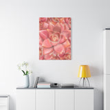 Graptosedum California Sunset Succulent Pattern Canvas Print – Botanical Wall Art
