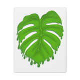 Melting Monstera Canvas Print – Botanical Wall Art