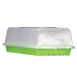 Green plastic tray with a transparent lid on a white background