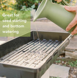 Person watering a seed starting tray with a green container outdoors.