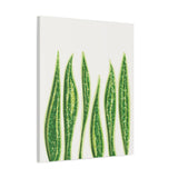 Snake Plant Canvas Print – Botanical Wall Art