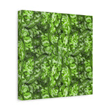 Aglaonema Pictum Canvas Print – Botanical Wall Art