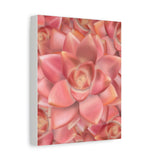 Graptosedum California Sunset Succulent Pattern Canvas Print – Botanical Wall Art