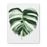 Melting Monstera Albo Canvas Print – Botanical Wall Art