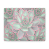 Echeveria Violet Queen Succulent Pattern Canvas Print – Botanical Wall Art
