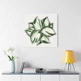 Manjula Pothos Canvas Print – Botanical Wall Art