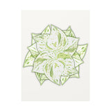 Snow Queen Pothos Canvas Print – Botanical Wall Art